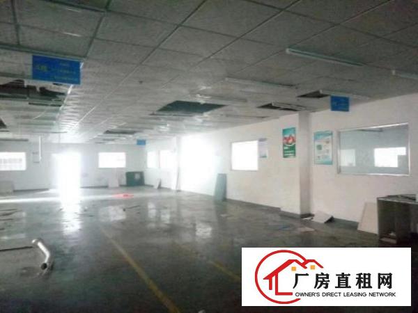  西乡洲石路边上黄麻布第三工业区附近带装修厂房1100平米