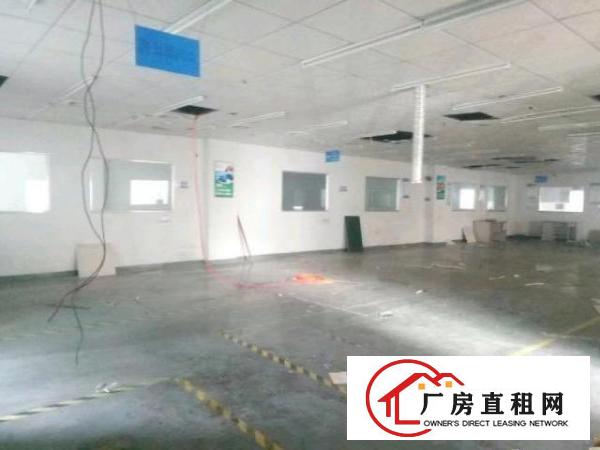  西乡洲石路边上黄麻布第三工业区附近带装修厂房1100平米