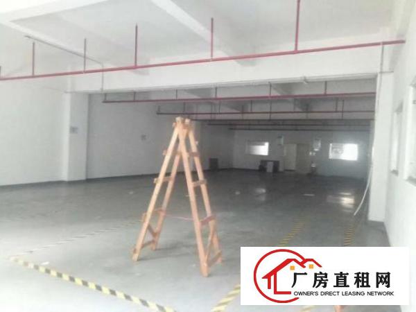  西乡洲石路边上黄麻布第三工业区附近带装修厂房1100平米