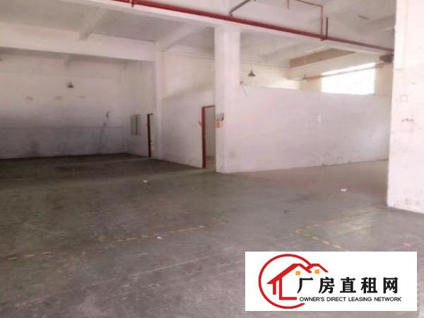  西乡簕竹角工业区或黄麻布工业一楼厂房720平米