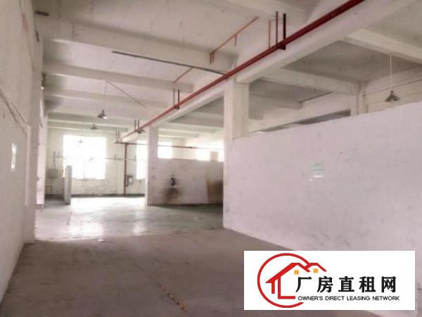  西乡簕竹角工业区或黄麻布工业一楼厂房720平米