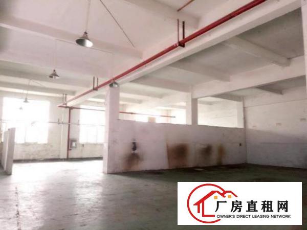  西乡簕竹角工业区或黄麻布工业一楼厂房720平米