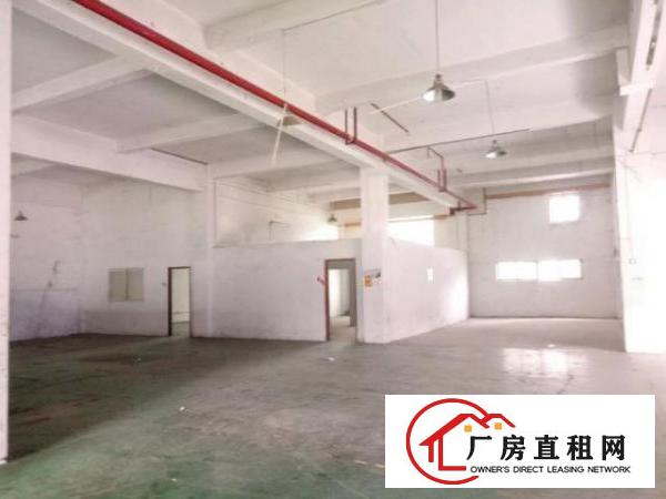  西乡簕竹角工业区或黄麻布工业一楼厂房720平米