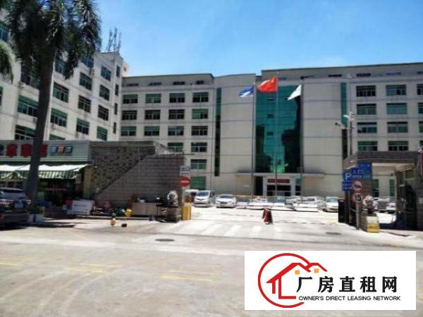  西乡鹤洲新出楼上800平带装修