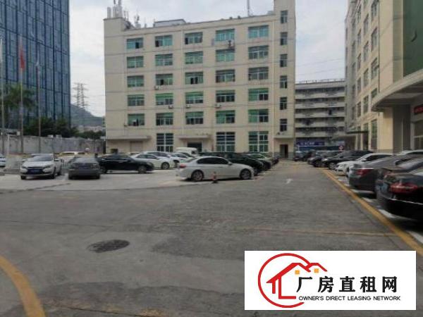 西乡鹤洲新出楼上800平带装修