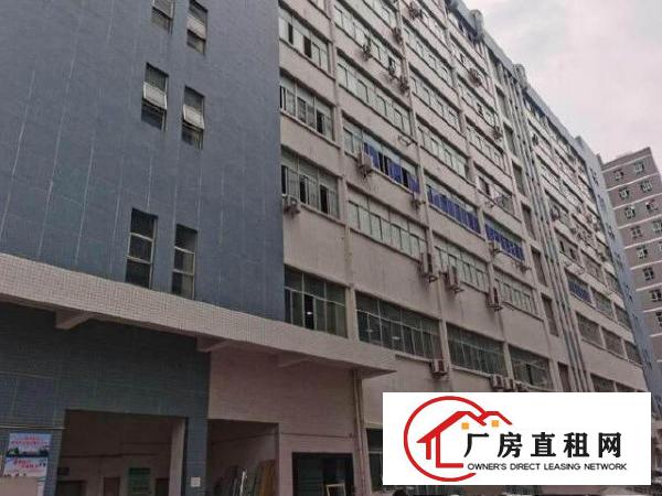  出租宝安区西乡固戌一路精装修厂房300，500平，一二楼都有