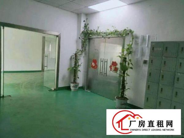  出租宝安区西乡固戌一路精装修厂房300，500平，一二楼都有