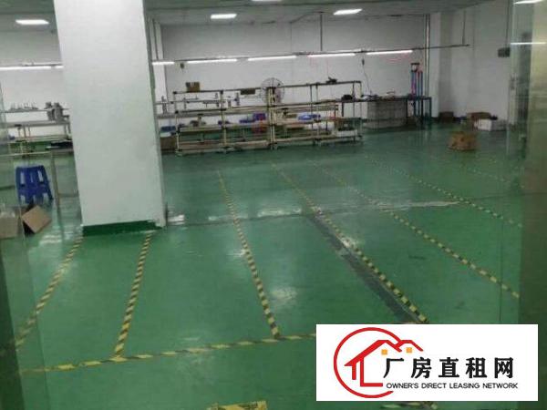  出租宝安区西乡固戌一路精装修厂房300，500平，一二楼都有