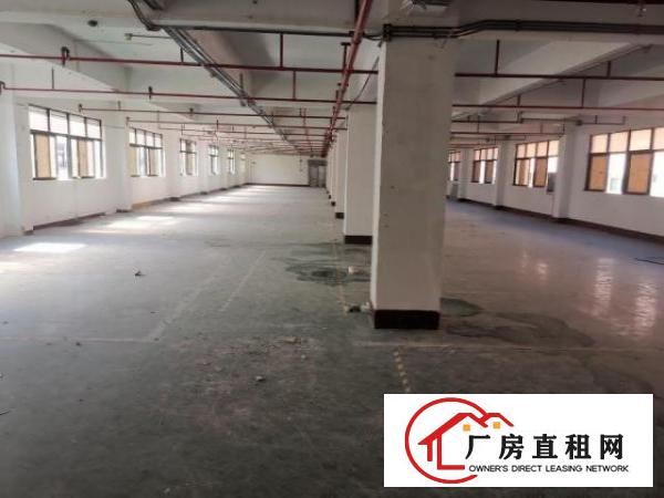  西乡富源工业城楼上精装修1300平，先到先得！