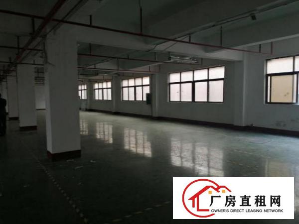  西乡富源工业城楼上精装修1300平，先到先得！
