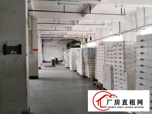  西乡九围村厂房出租，3000平方、租金25每平方