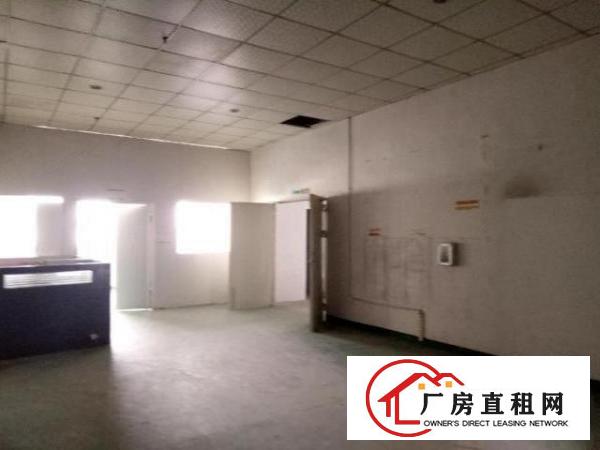  西乡原房东厂房958平米出租