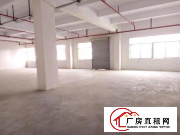  西乡原房东厂房958平米出租