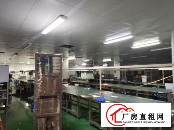  西乡带装修厂房整层3500平米招租