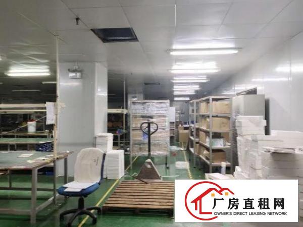  西乡带装修厂房整层3500平米招租