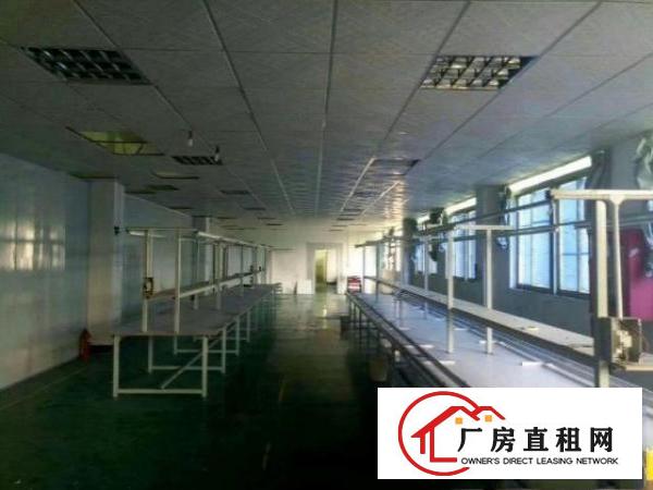  九围黄麻布簕竹角带装修厂房整层860平米招租