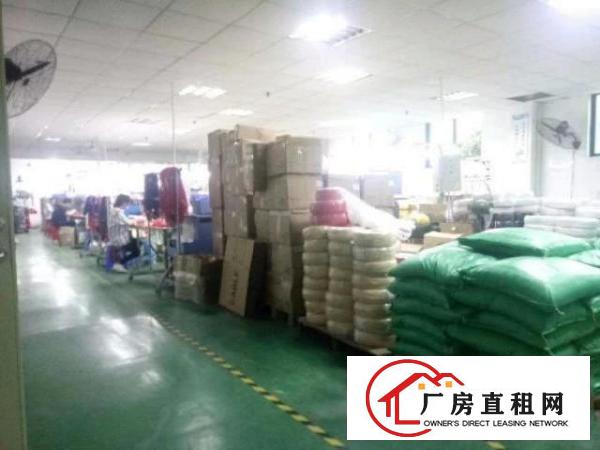  （原房东）带装修厂房整层1050平米出租