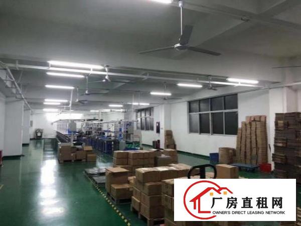  西乡九围或簕竹角带装修厂房1200平米出租