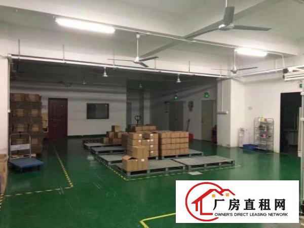  西乡九围或簕竹角带装修厂房1200平米出租