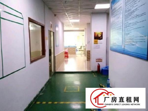  西乡豪华装修厂房整层2680平米招租