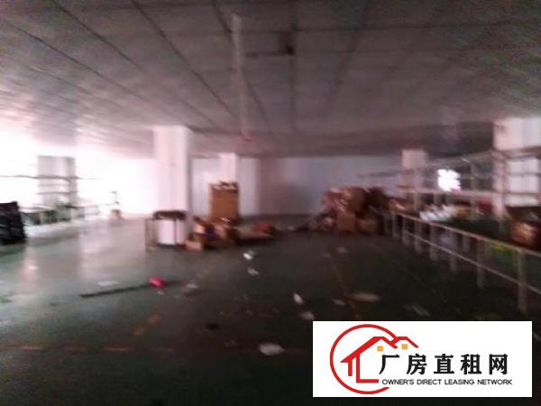  西乡豪华装修厂房整层2680平米招租