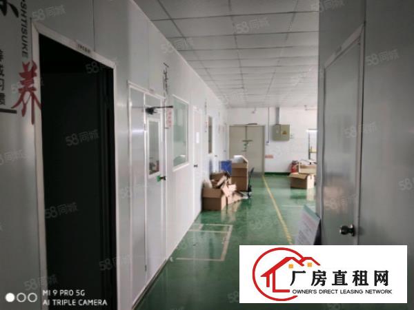  西乡新出500平带装修厂房出租，国道边交通方便