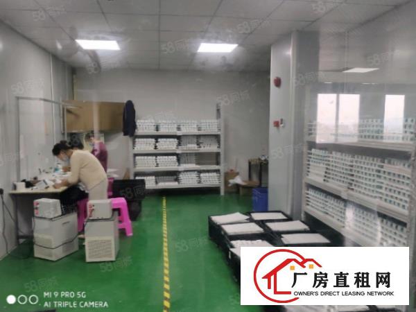  西乡新出500平带装修厂房出租，国道边交通方便