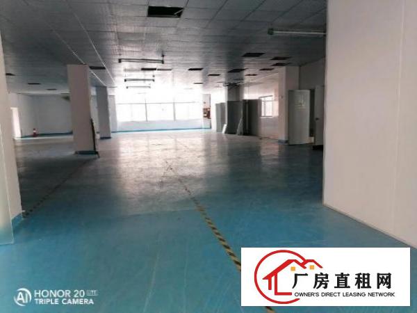  九围洲石路边上一楼带装修厂房890平方招租