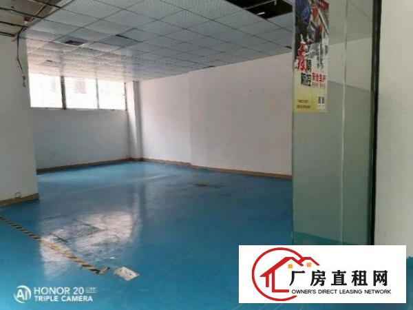 九围洲石路边上一楼带装修厂房890平方招租