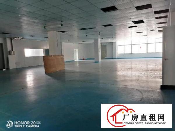  九围洲石路边上一楼带装修厂房890平方招租