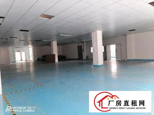  九围洲石路边上一楼带装修厂房890平方招租