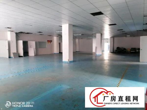  九围洲石路边上一楼带装修厂房890平方招租