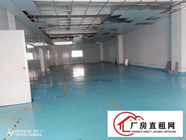  九围洲石路边上一楼带装修厂房890平方招租