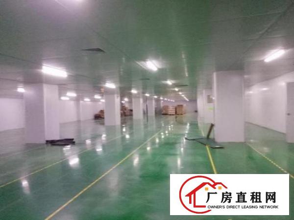  西乡无尘车间厂房整层2300平米对外招租