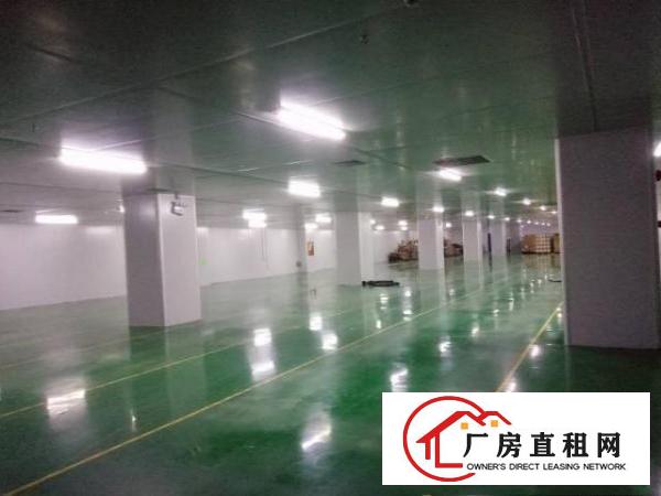  西乡无尘车间厂房整层2300平米对外招租