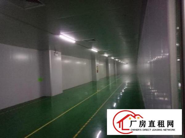  西乡无尘车间厂房整层2300平米对外招租