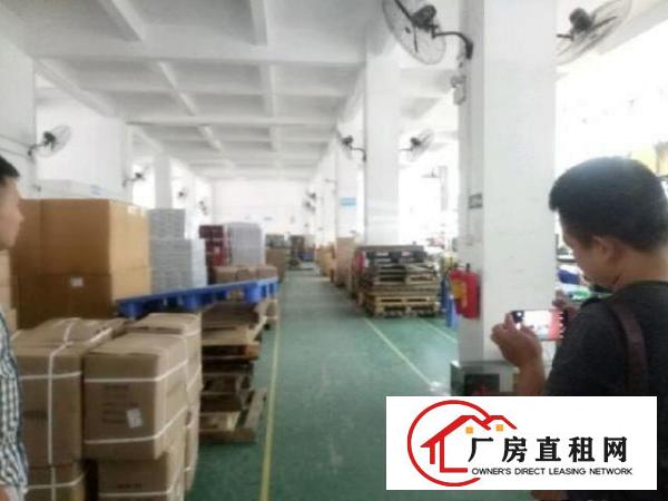  西乡带阁楼办公室一楼厂房1300平米出租