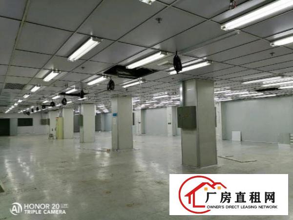  西乡臣田工业区带装修无尘车间整层2600平米出租