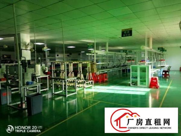  九围簕竹角黄麻布无公摊面积厂房1330平米招租
