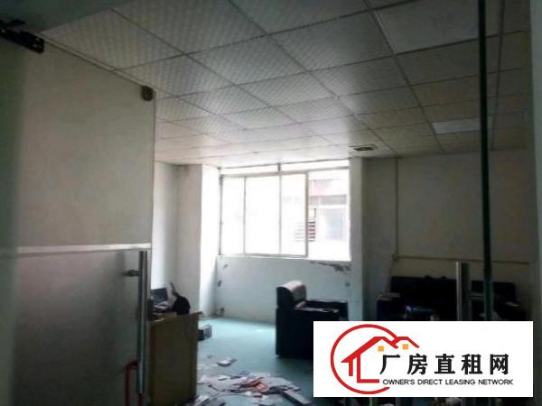  西乡洲石路边上或簕竹角工业区带装修厂房1338平米