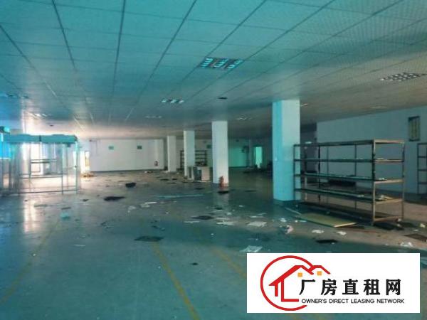  西乡鹤州恒丰工业城带装修厂房1800平米