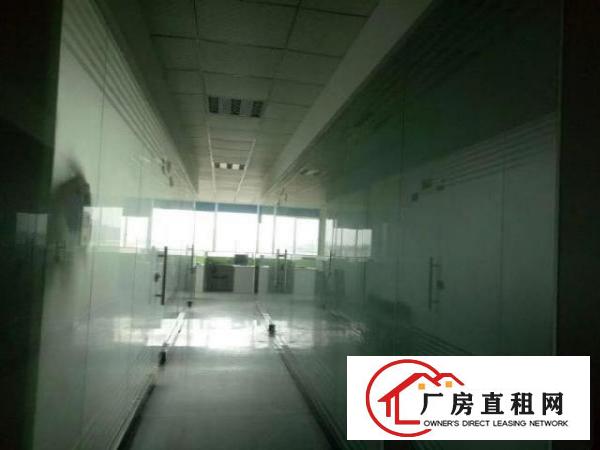  西乡九围或簕竹角带装修厂房1325平米出租