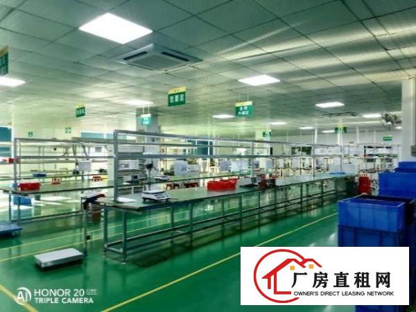  西乡九围或簕竹角带装修厂房1325平米出租