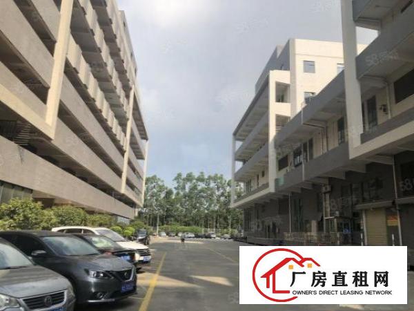  东莞万江区红本带卸货台路面厂房招商中，交通便利!
