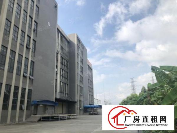  东莞万江区红本带卸货台路面厂房招商中，交通便利!