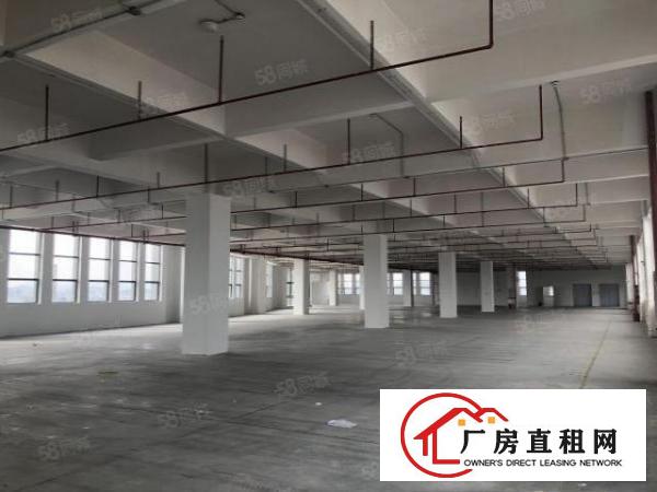  东莞万江区红本带卸货台路面厂房招商中，交通便利!
