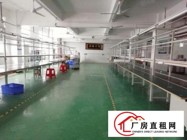  西乡，固戍工业园区，新出楼上带装修870平厂房出租，拎包生产