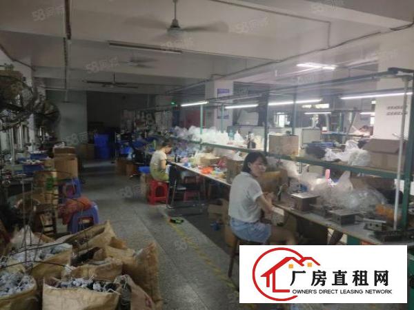  西乡，固戍，海滨新村整层带装修600平，有现成办公室。