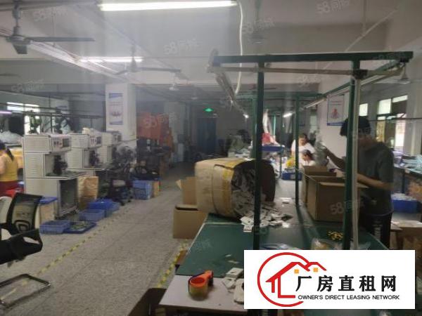  西乡，固戍，海滨新村整层带装修600平，有现成办公室。