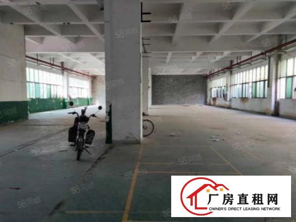  西乡钟屋带红本厂房仓库16层厂房仓库出租
